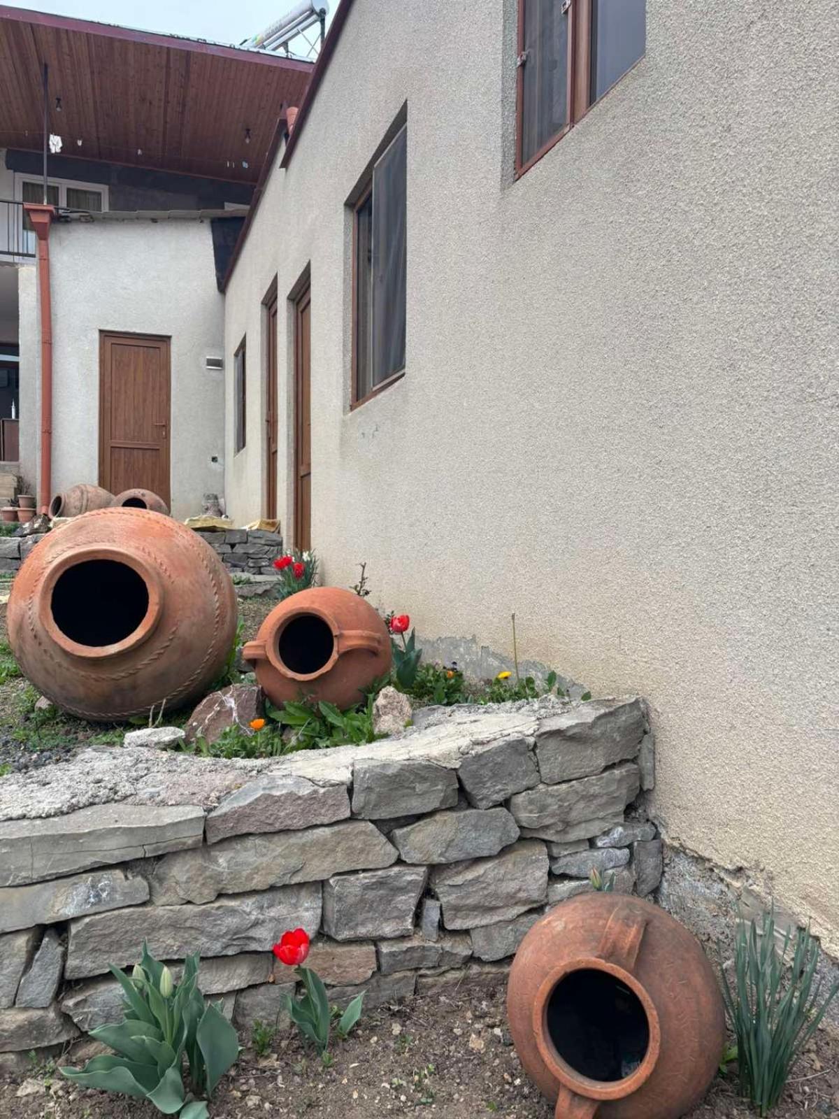 Saro B&B And Safari Tours Tat'ev Exteriör bild